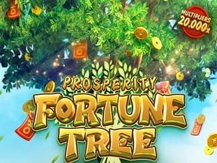 Prosperity Fortune Tree